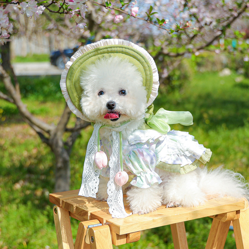 Ready-Stock Pet Clothing, Pet Puppy and Cat Clothes, Spring and Summer Floral Princess Dress, Sun Hat Set Collection