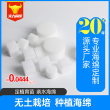 无土栽培海绵方块热销大棚种植、家庭阳台育苗盘保水根发达产