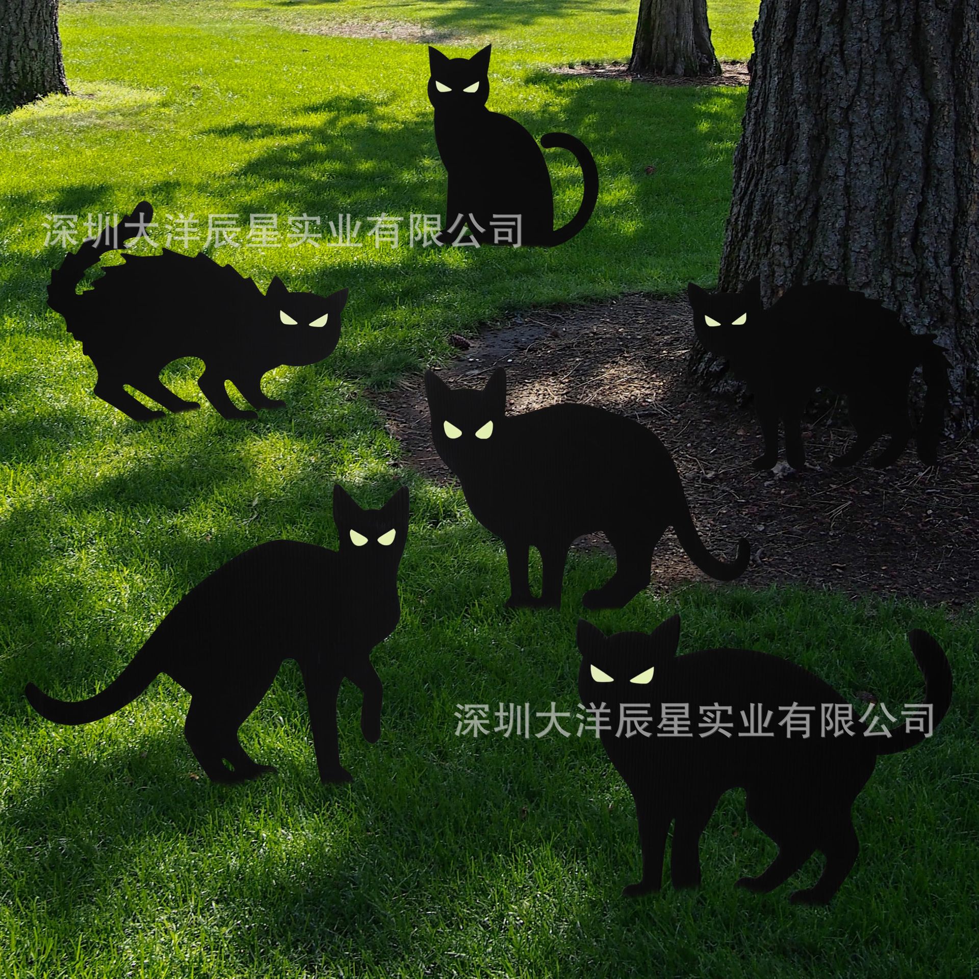 할로윈 검은 고양이 16