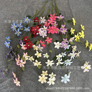 ���滨��c�Ҿ��bٻ���Y���b廨��7�^��֦�F��ɏ�羳���Q