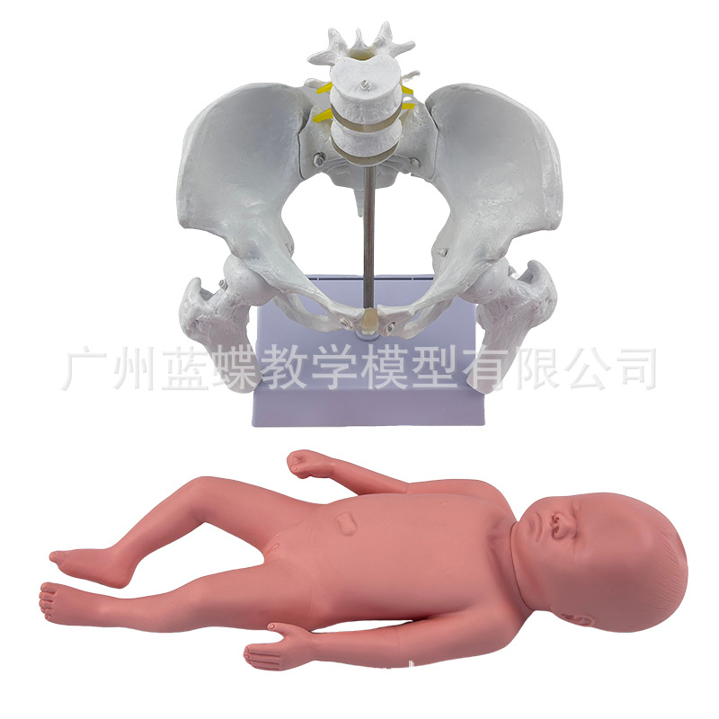 ��������̥����������ʾ��ģ�͸����ƿɻŮ�Թ���������ʾ�̾�