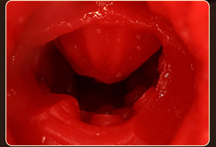Jiuai Realistic Male Masturbation Cup with TPE Vagina and Buttocks Mold — detail image 9