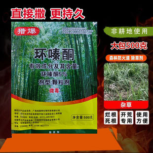 �C�� �h�ͪ 5%�h�ͪ ɭ�ַ�����s�� �rș ���݄� 500��