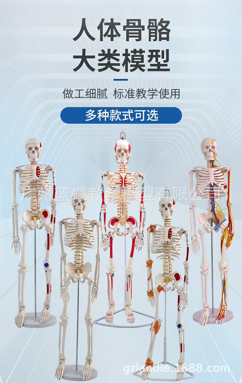 详情_01
