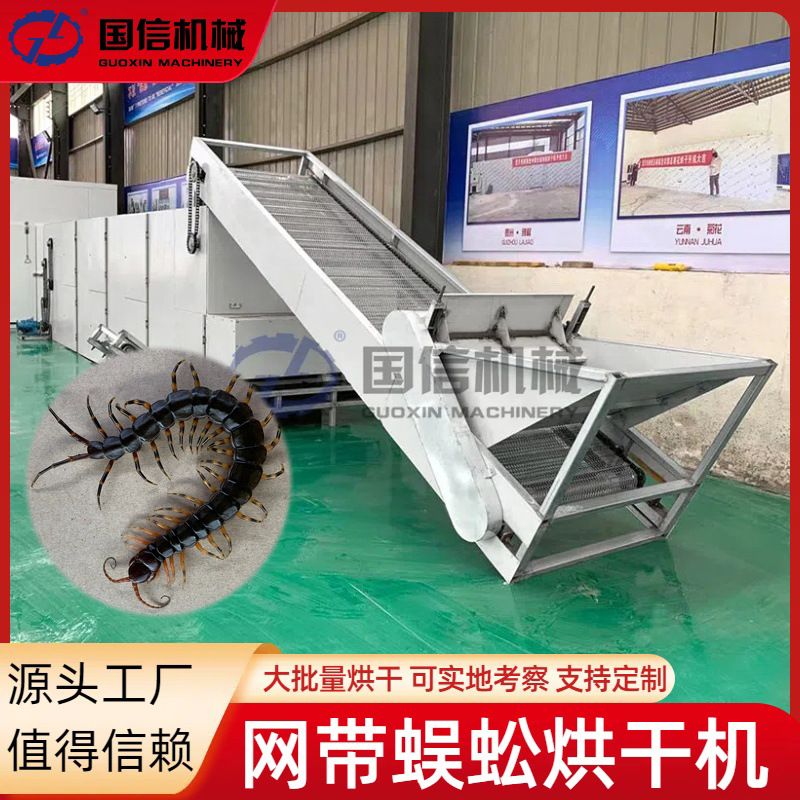 连续天龙百足虫烘干机 百脚虫红头蜈蚣烘干机设备 网带蜈蚣烘干机