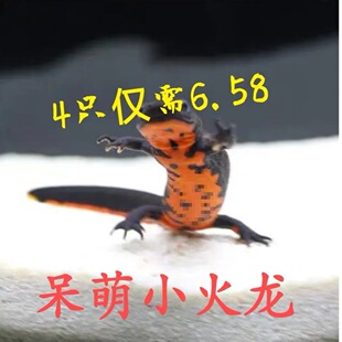 -��ˮС�������B��������^�p�~������~���w���ǿ����~����ˮ�\-