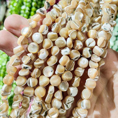 Natural Shell Hoop Conch Beads 8mm Multicolor Random Shaped Unformed Semi-Finished DIY Shell Jewelry Accessories