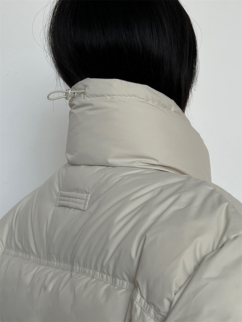 2024-11-26 181443.jpg