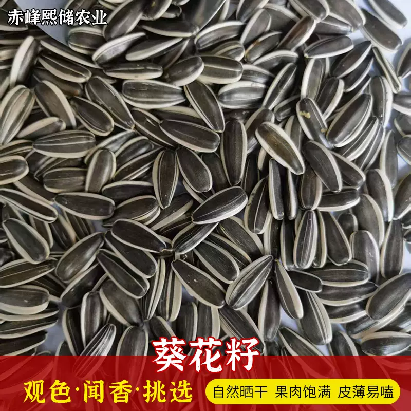 10斤葵花籽大颗粒内蒙原产地原味葵花生瓜子新货散装5kg生瓜子