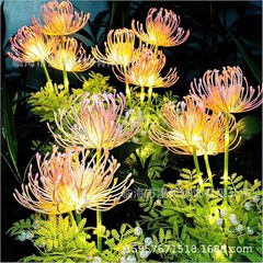 太陽エネルギーの庭の芝生の明かりの彼岸の花のネギのボールの明かりの屋外の彼岸の花のホタルの装飾の花園のヒマワリの明かり