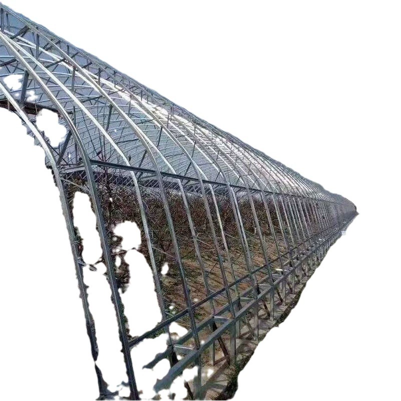 Двойной пленочный каркас теплицы C стальной каркас теплицы двойная АРКА двухпленочная теплица посадка теплицы размножение теплицы