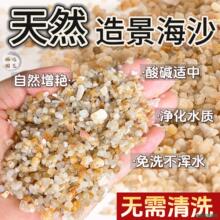 免洗鱼缸底砂水洗海沙造景水草水族箱沙寄居蟹乌龟沙子流沙