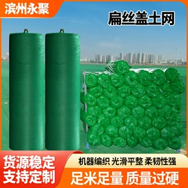 安全平网;其他安全网;防风、抑尘网