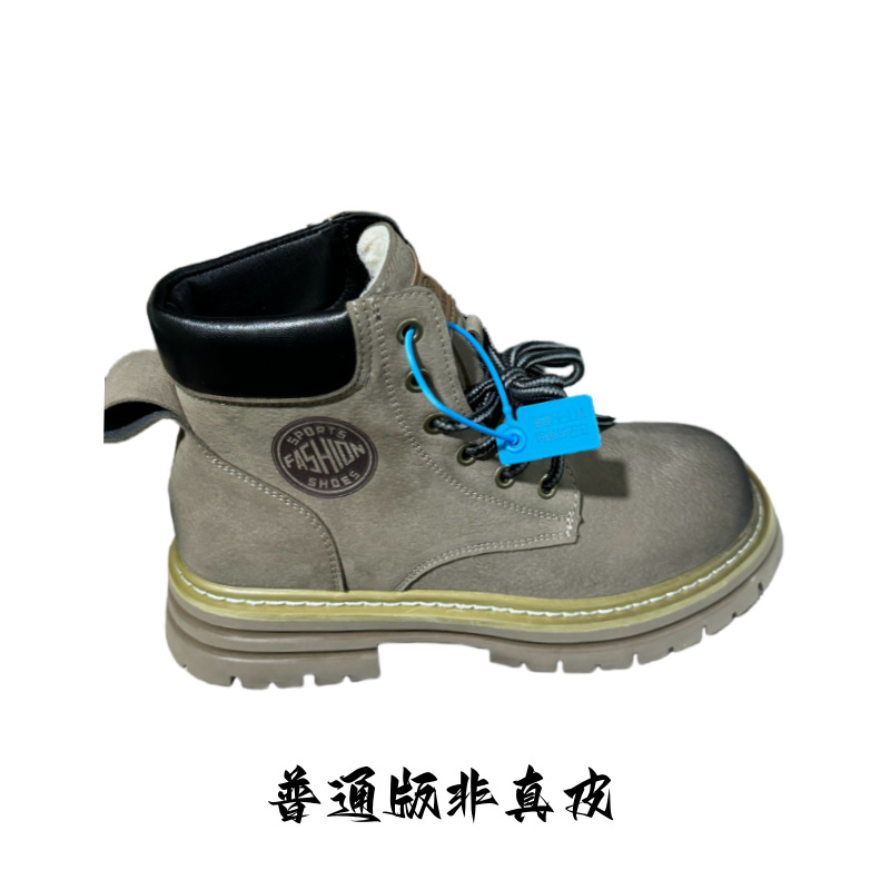 Brown [2025 ordinary model]