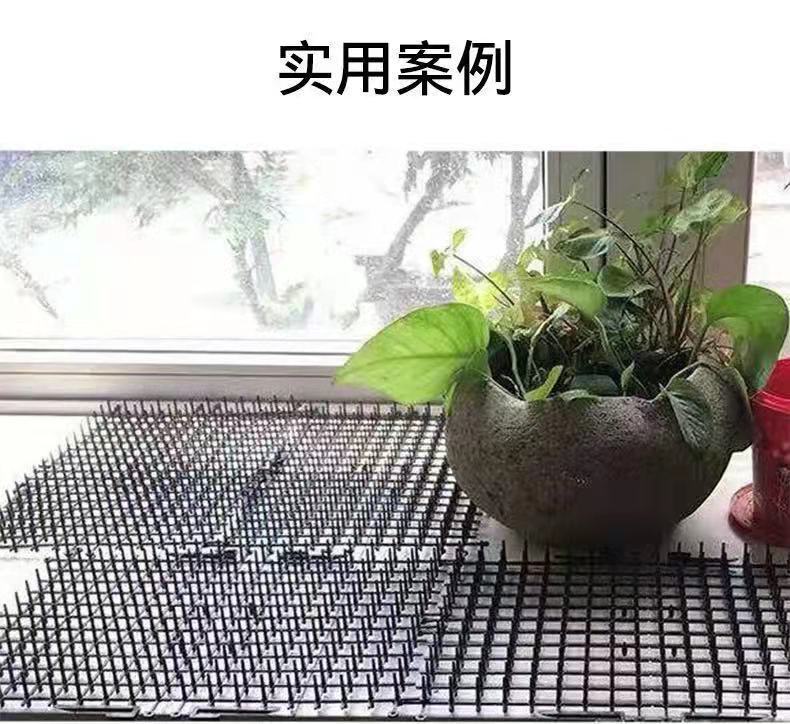 微信图片_202109031008254