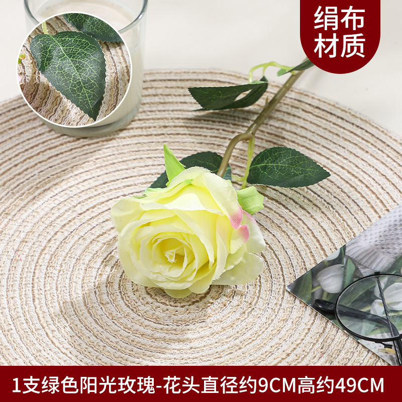 선샤인 로즈 1-그린