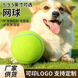 网球;足球;球类
