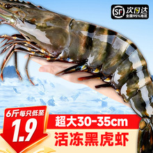 �ڻ��r�r���ك������ϻ��r�ش��r�����r�r�r���r�����߾Ź��r