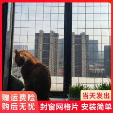 ll阳台露台院子防猫网门栏花盆鱼缸防猫隔离网养猫封窗网床底防猫