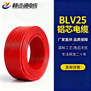 �X늾��S�� BLV25ƽ�����ù��b�҃ȑ�������X�� �����p���X��|