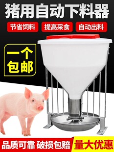 �iʳ���Ԅ����������P䓱����i�ø��ϴ��iιʳ�����i�ϲ����ɲ�ʳ