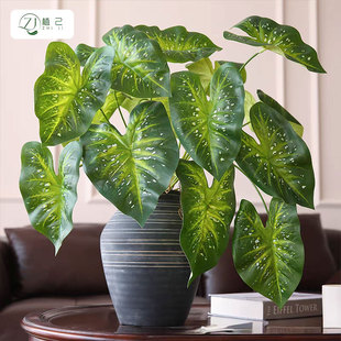 ����7�^��횲����~�����~�Ӕ[��ֲ���҃ȼҾӿ͏dֲ��b���