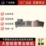 广达大型自动化哈密枣 红枣大枣去核挖核机 304不锈钢核肉分离器