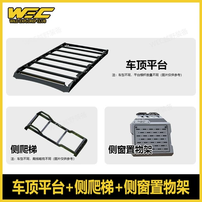 Roof rack WEC ladder side window - roof-platform-ladder-side-window-hanging-panel