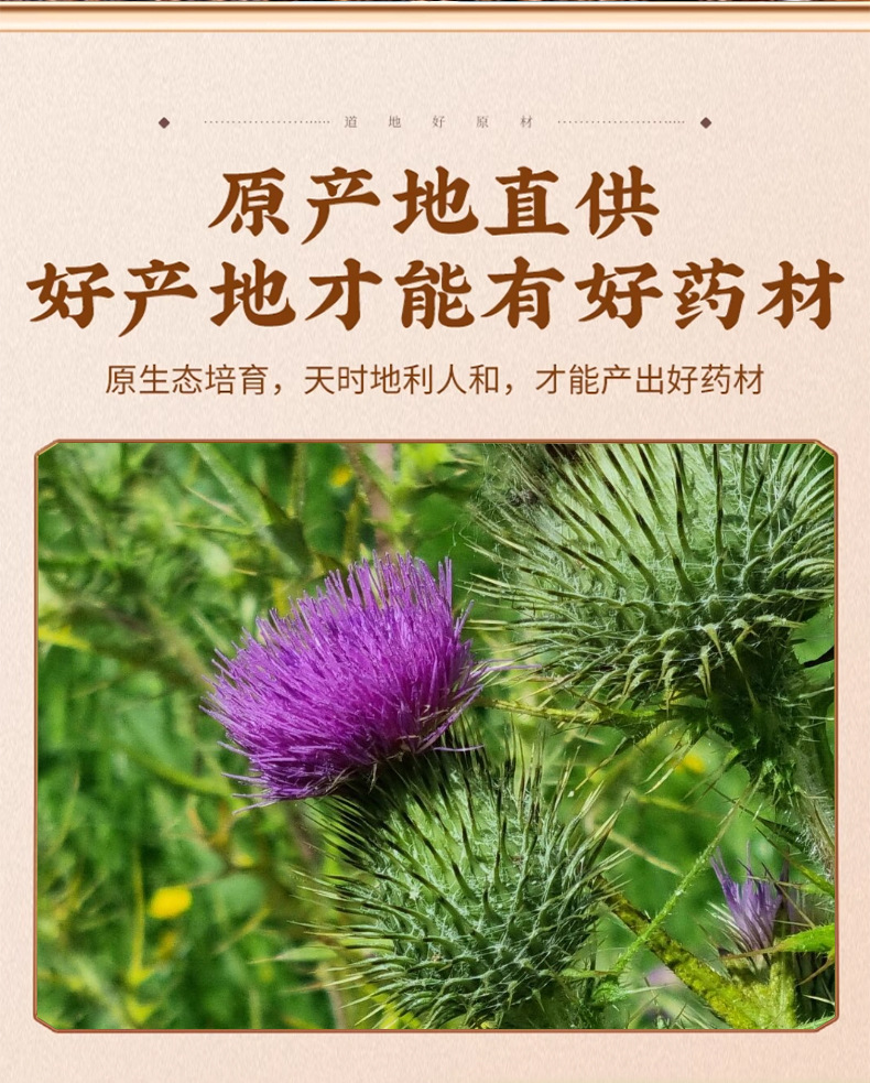 Milk Thistle Seed Shui Fei Ji 500g Dried Silybum Marianum Seeds for Herbal Tea and Decoction key features