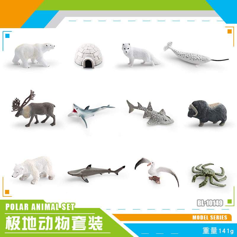 Exportación transfronteriza simulación modelo de animales polares mini animales de invierno ártico beluga morsa cognición educación temprana decoración