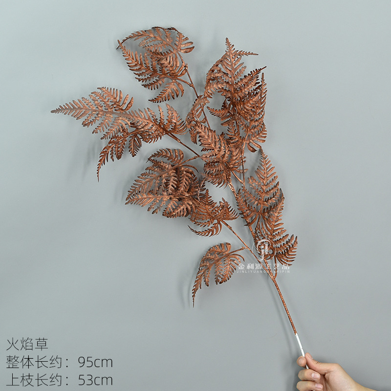 불꽃 잔디 다크 브라운