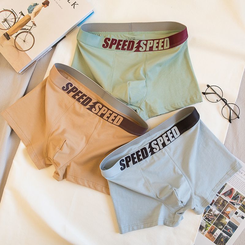 909: 녹색 노란색 라이트 블루