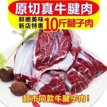 10斤小牛腱子新鲜现杀原切不牛腱子鲜牛肉批发牛腱子10斤跨境