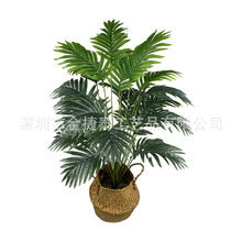 �羳���R�d����Gֲ�߼�������ɢβ����ֲ��Ҿ��҃ȿ͏d�bG��
