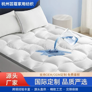 厂家直供加厚床护垫防水床笠亚马逊床垫保护套Mattress Protector