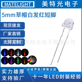 ���ع� f5��ñ�t�� ���O��оƬ ������ 4.8mm��ñled�t�� ����