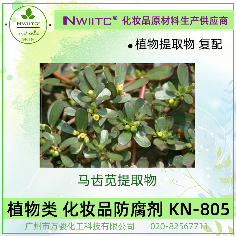 普体 产品图 805-01