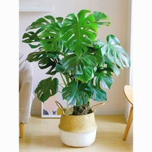 ��������~�������ļ��L��Gֲֲ���̨���ҿ͏d�k���Ҷ�����ֱ�N