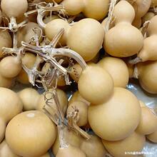 С�����J��ȻС���J����С���J�����С���J����С���J�ְѼ����l