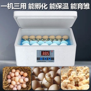[1606 People] Incubator Small Household Mini Incubator Semi-Automatic Intelligent Chicken, Duck, Goose and Pigeon Egg Protection
