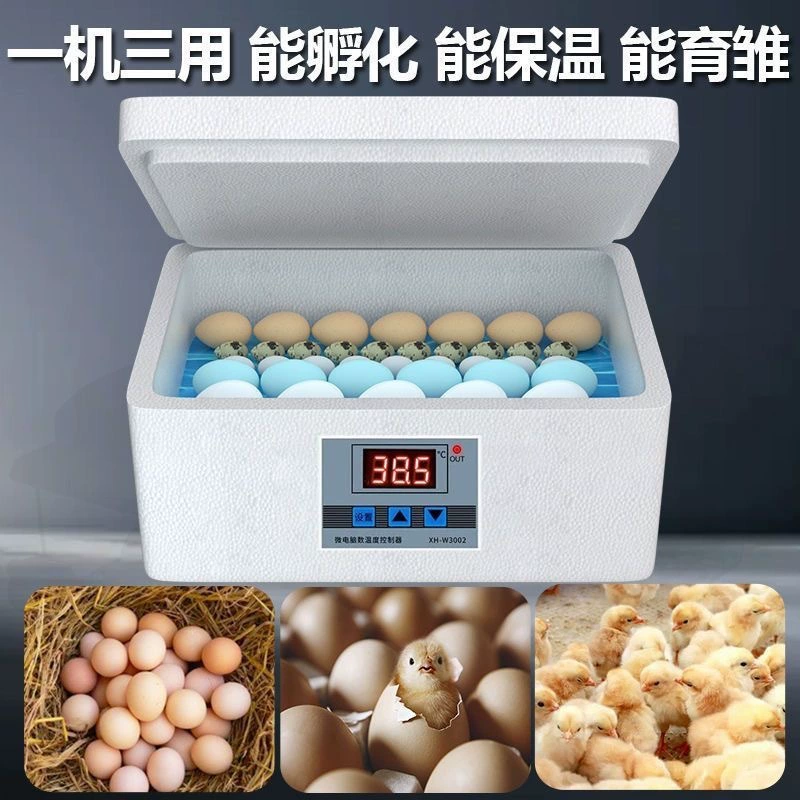 [1606 человек] Инкубатор, небольшой бытовой мини-инкубатор, полуавтоматический интеллектуальный защита яиц курицы, утки, гуся и голубя