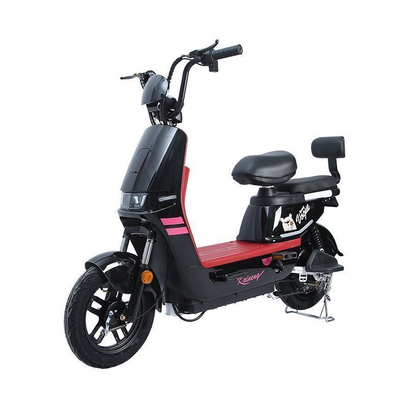 Diàndòngchē – National Standard Auto Parts and Accessories - black-warrior-worry-free-warranty-fashionable-and-simple-48v-quality-motor-4ah-original-factory-dedicated-motor-1