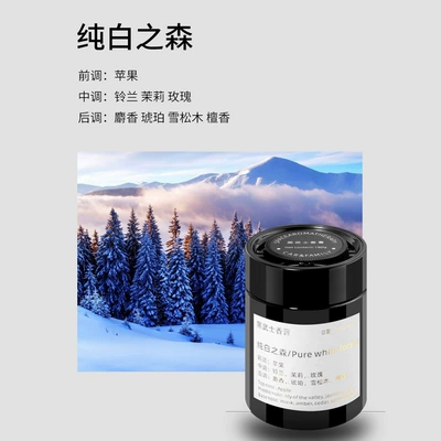 Car-mounted Aromatherapy Car Perfume Perfplant seat - pure-white-forest