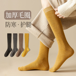 Autumn and winter New velvet ladies compression socks sweat-absorbent combed cotton solid color all-match Terry thickened ladies calf socks