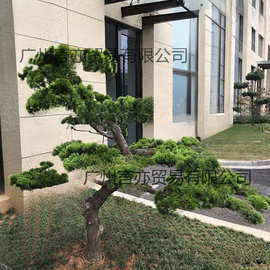 仿真松树枝松针假罗汉松美人松柏树枝松树叶黑松崖柏枝迎客松造景