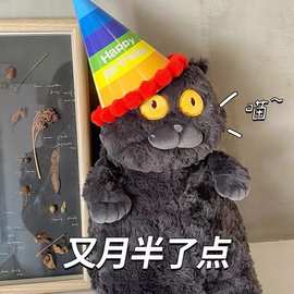 网红瞪眼猫咪毛绒玩具橘猫白猫黑猫咪玩偶公仔礼物睡觉抱枕批发