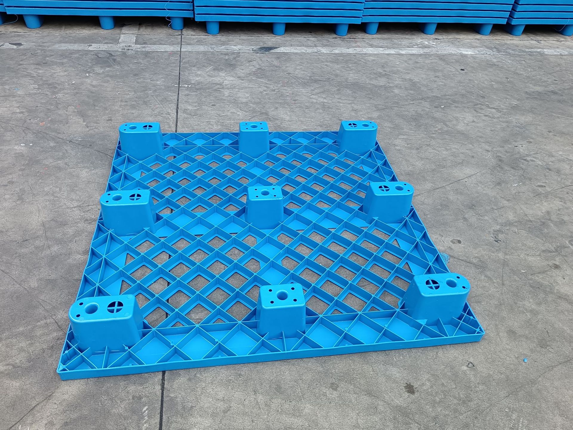 6551340219590d2a6c2a9c5052556f