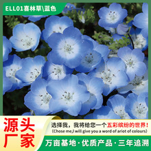 laԾG۵Ͼϲֲ^pܷNӾ^ܷNƷ