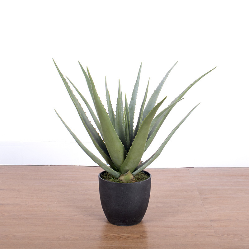 Decoración del hogar suculentas plantas en macetas simulación suave aloe vera bonsai alta simulación suculentas plantas verdes falsas en macetas image 10
