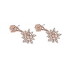 Zirconium, shiny fashionable earrings, Korean style, with snowflakes, micro incrustation